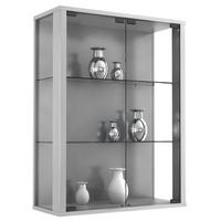 Viseča Vitrina Udina, Srebrna - srebrne barve/črna, Konvencionalno, umetna masa/steklo (60/80/25cm) - MID.YOU