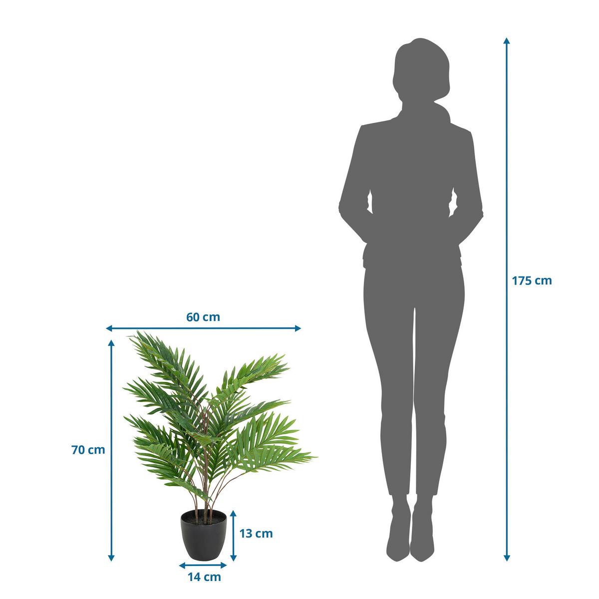 Umetna Rastlina Areca - črna/zelena, Basics, umetna masa/tekstil (60/70/60cm) - MID.YOU