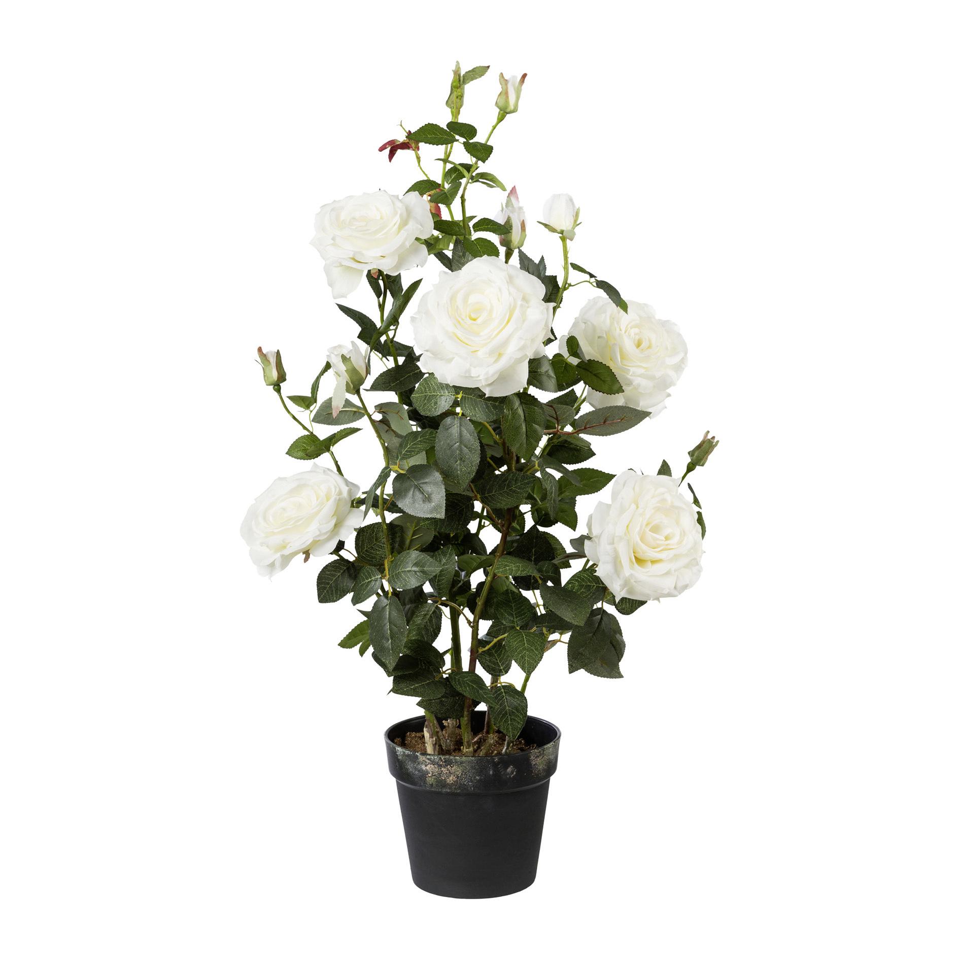 Kunstpflanze Rosenstock ca. 90cm - Weiß/Grün, Trend, Kunststoff (90cm) - MID.YOU