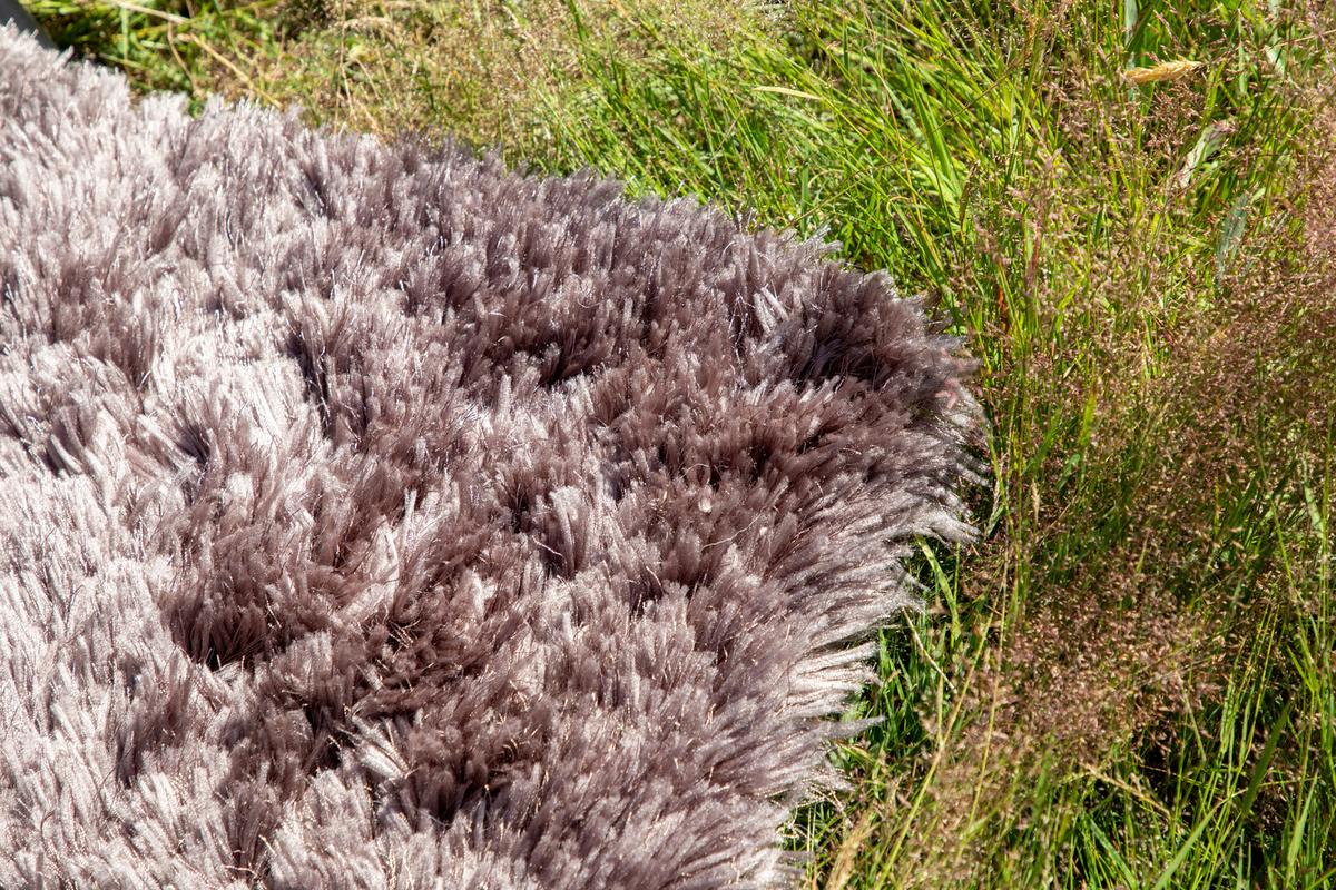 HOCHFLORTEPPICH GRACE - Braun, LIFESTYLE, Textil (200/300cm) - P & B
