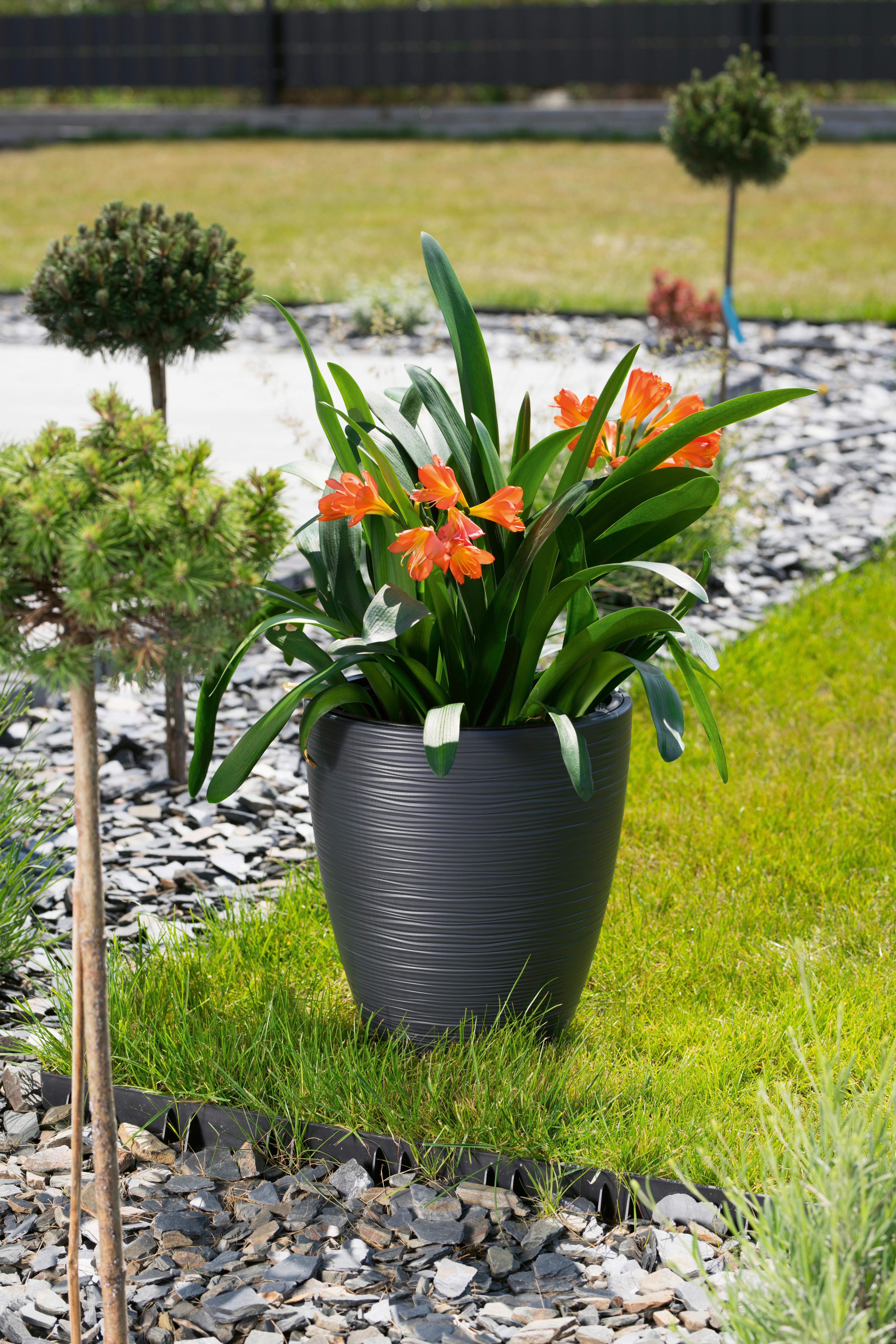 Virágkaspó Gubo - antracit, Konventionell, műanyag (29/32cm)
