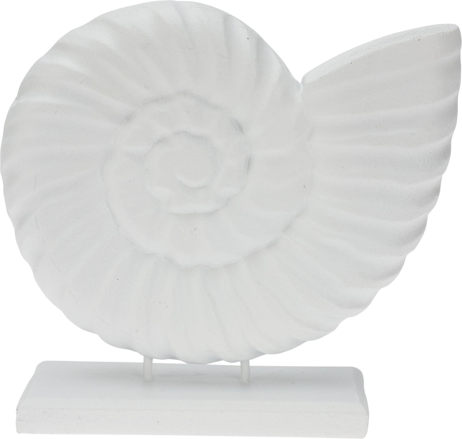 Školjka Dekorativna Shell - Basics (19cm)