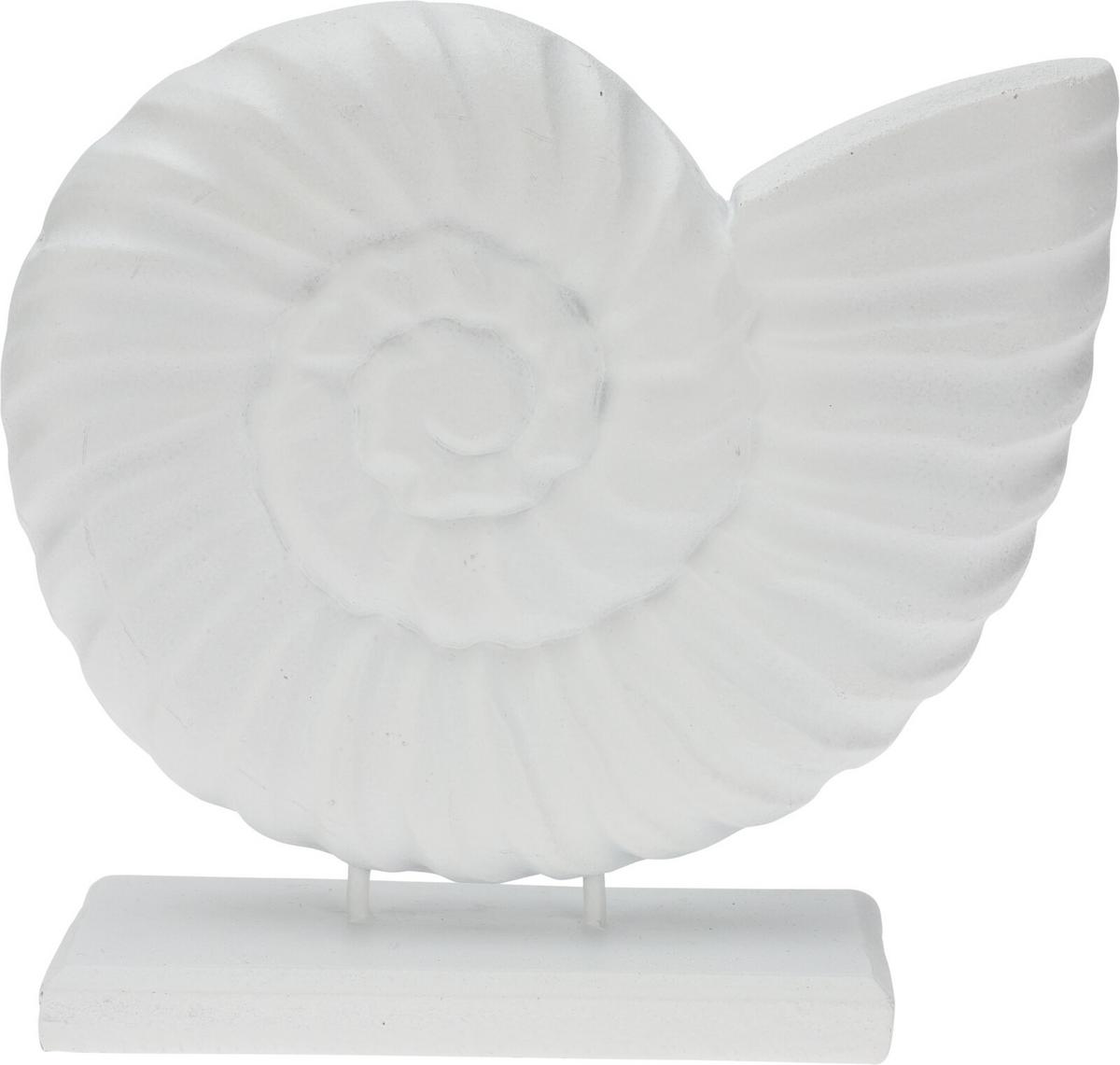 Školjka Dekorativna Shell - Basics (19cm)