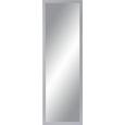 Wandspiegel ca. 50x150x2cm - Silberfarben, Glas/Holzwerkstoff (50/150/2cm)