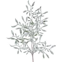 Kunstpflanze Mistelzweig I Hellgrün - Hellgrün/Grün, Basics, Kunststoff (55cm) - Mömax