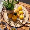 PLATZTELLER MANGO - Braun, Modern, Holz (38/2cm)