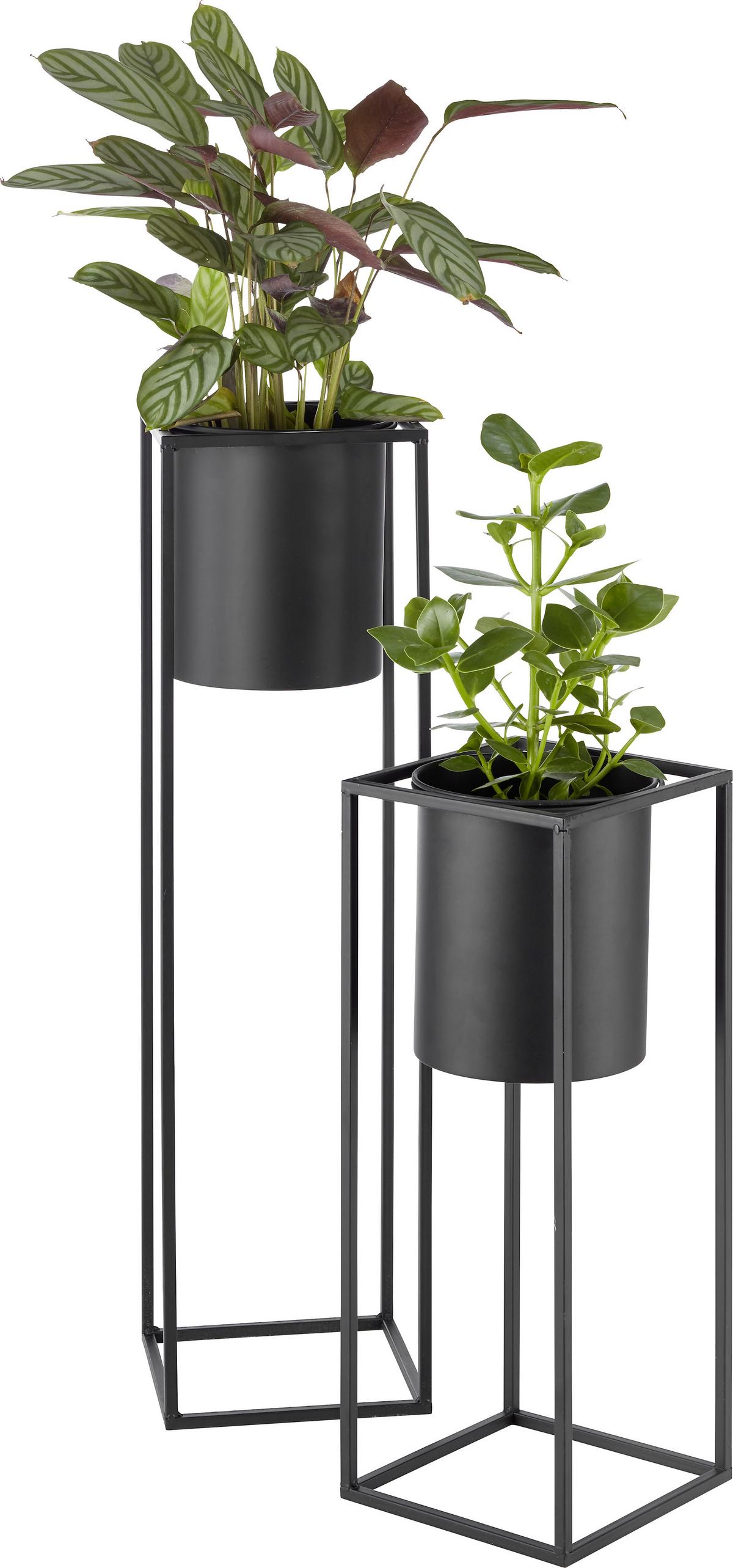 Kaspó Kiara - fekete, Lifestyle, fém (21/80,5cm) - Mömax