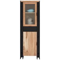 Vitrina Construction - črna/naravne barve, Trendi, kovina/steklo (60/180/40cm) - Zandiara