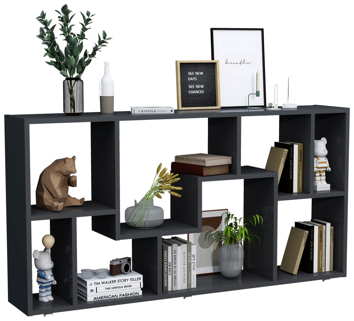 Regal Lanisa Anthrazit - Anthrazit/Silberfarben, Design, Holzwerkstoff/Kunststoff (116/58/20cm) - MID.YOU