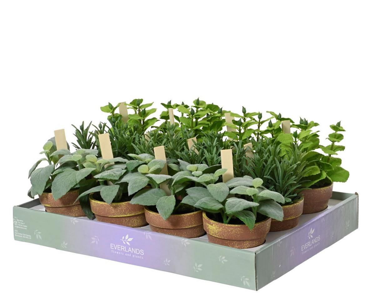 Plantă artificială Kimb, cca. 15x17 cm - verde, Basics, plastic (15/15/17cm)