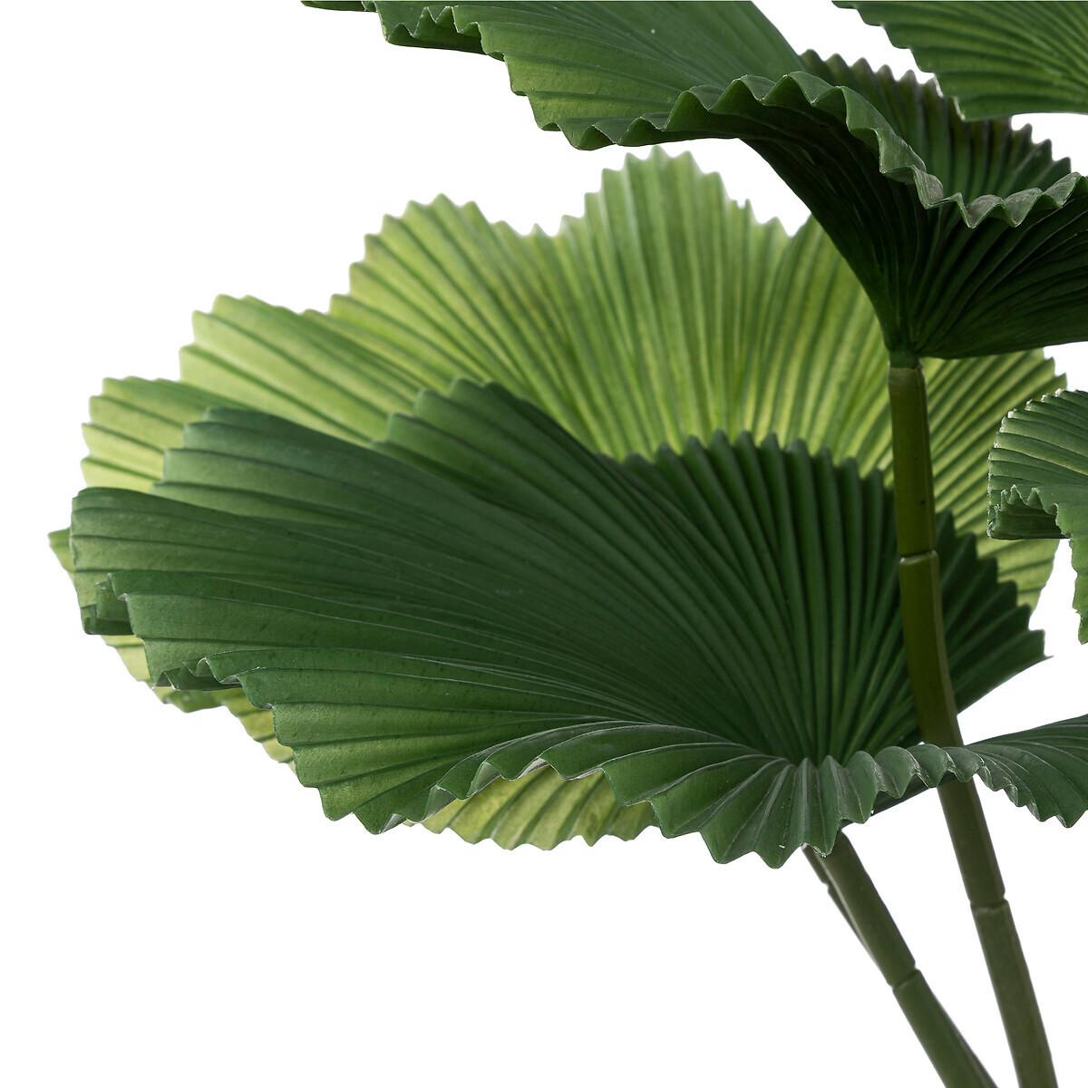 Okrasna Rastlina Palm Tree - Moderno (62/65cm)