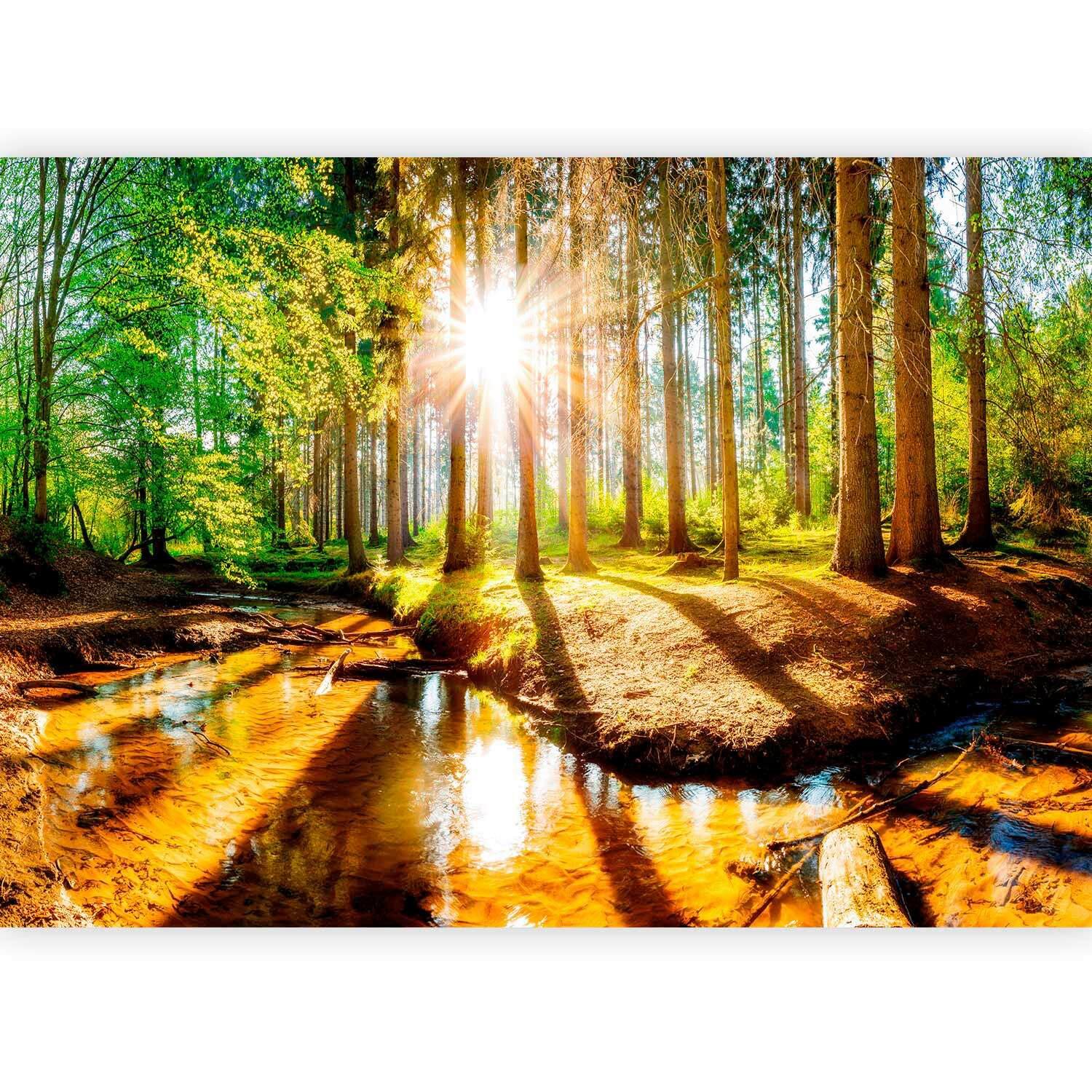 Fototapete Braun/Grün ca. 200x140cm - Braun/Grün, LIFESTYLE, Textil (200/140cm) - artgeist