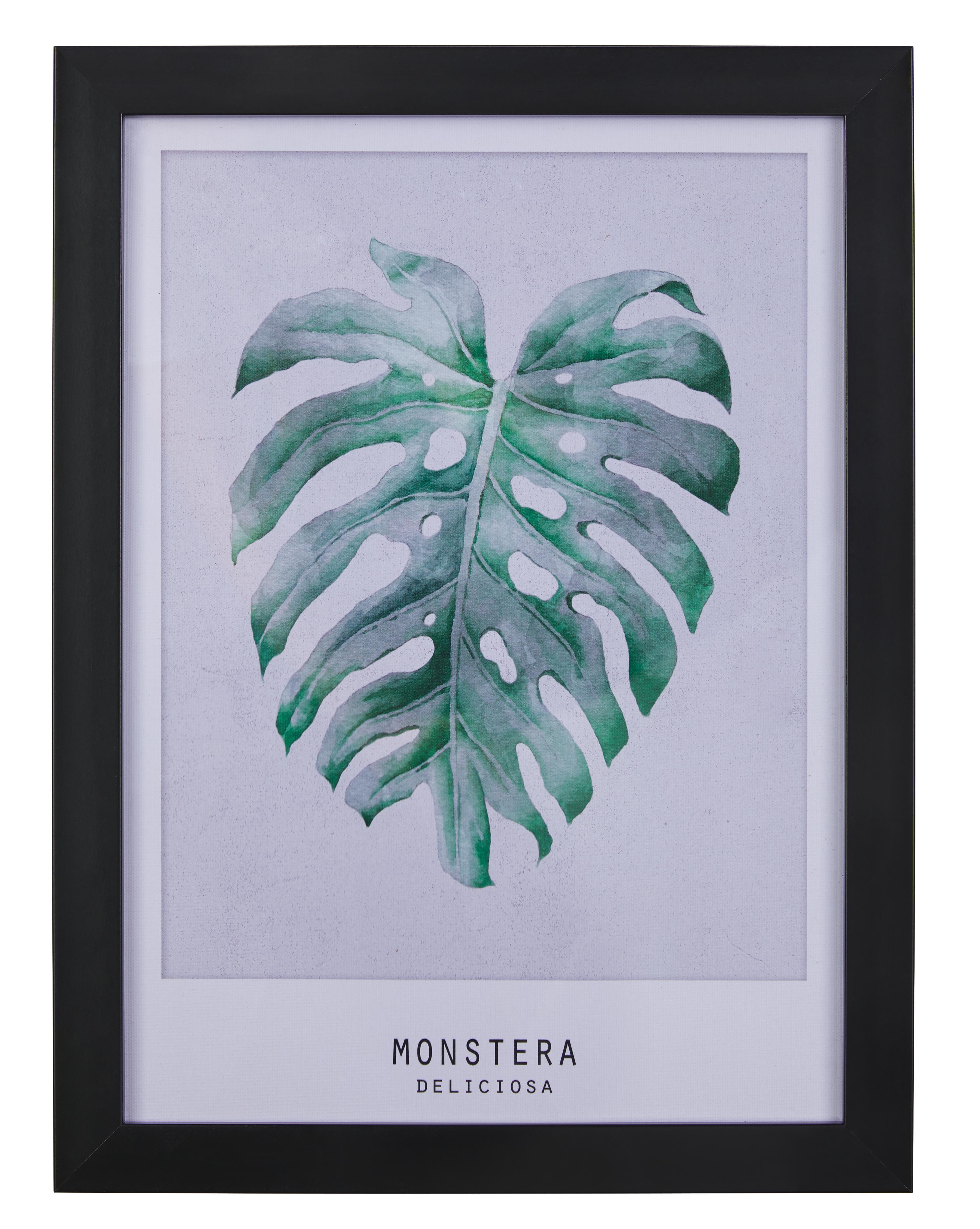Bild Monstera Grau/Grün ca.30x40x1,7cm - Schwarz/Grün, MODERN, Kunststoff (30/40/1,7cm) - Bessagi Home