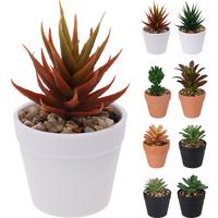 Floare decorativă Plant In Pot - Basics (7,5/9cm)