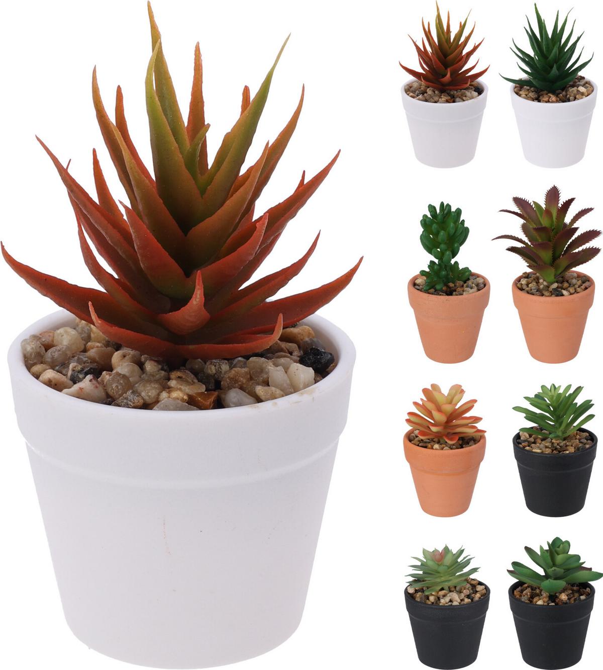 Floare decorativă Plant In Pot - Basics (7,5/9cm)