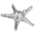 Skulptur Meerestiere Versch. Designs - Silberfarben, Metall (19/14/5cm)