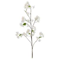 Kirschblütenzweig Kirschblüte Weiß ca. 126cm - Weiß/Grün, Basics, Kunststoff/Textil (126cm) - Mömax