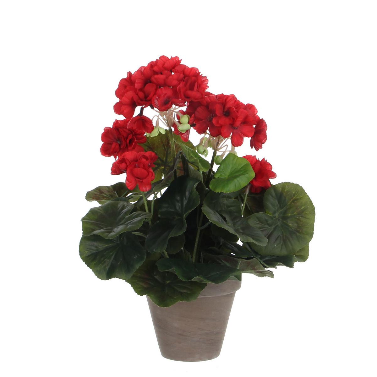 Umetna Rastlina Greta - Konvencionalno (20/34cm) - Mömax