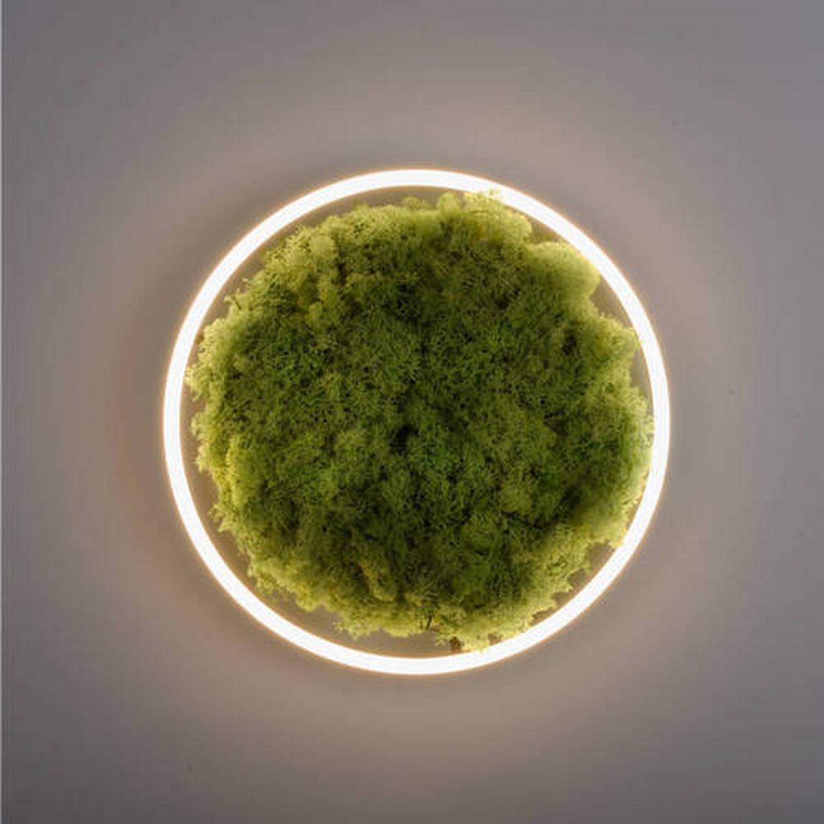 LAMPA SUFITOWA LED 15391-66 GREEN RITUS - kolor naturalny, Natur, tworzywo sztuczne/materiały naturalne (39,3/39,3/5,3cm)