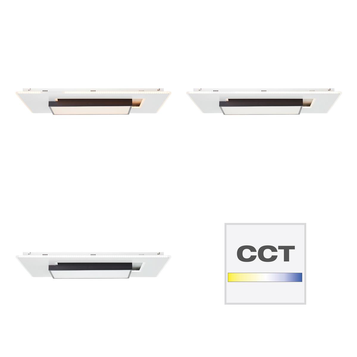 LED-Deckenleuchte Hutson Schwarz/Weiß max. 60 Watt - Schwarz/Weiß, Design, Kunststoff/Metall (80/50/7cm) - Brilliant