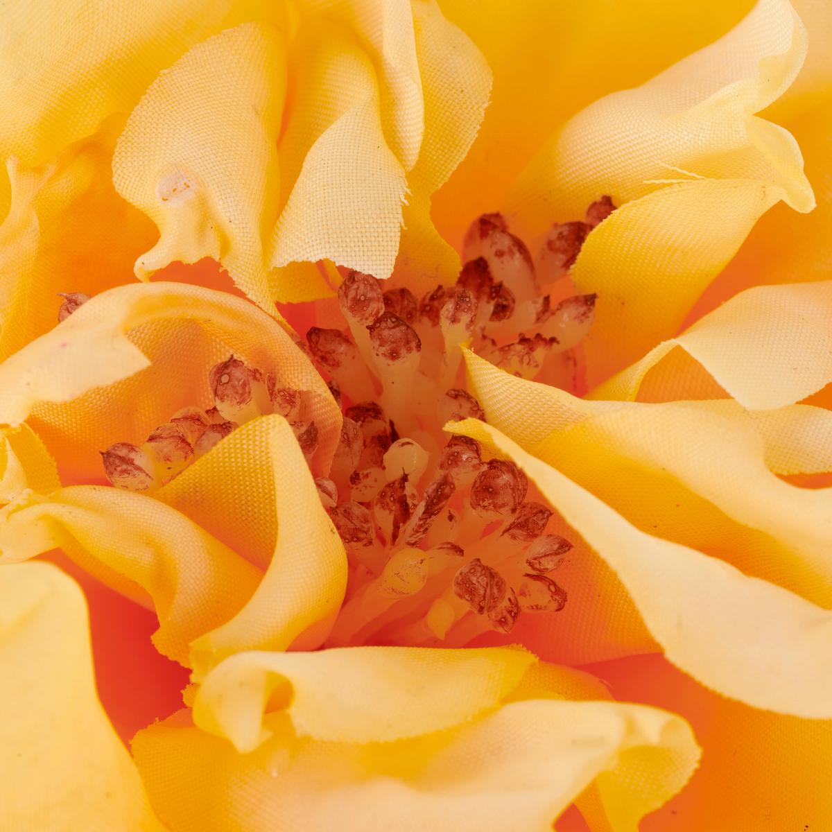 Rose II Aprikose ca. 63cm - Aprikose/Grün, Basics, Kunststoff/Textil (63cm) - Mömax