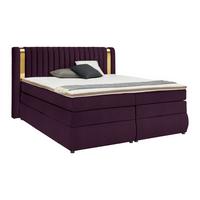 Boxspring Krevet Minola Gold Exkluziv - šljiva/crna, Konvencionalno, tekstil/plastika (160/200cm) - Premium Living