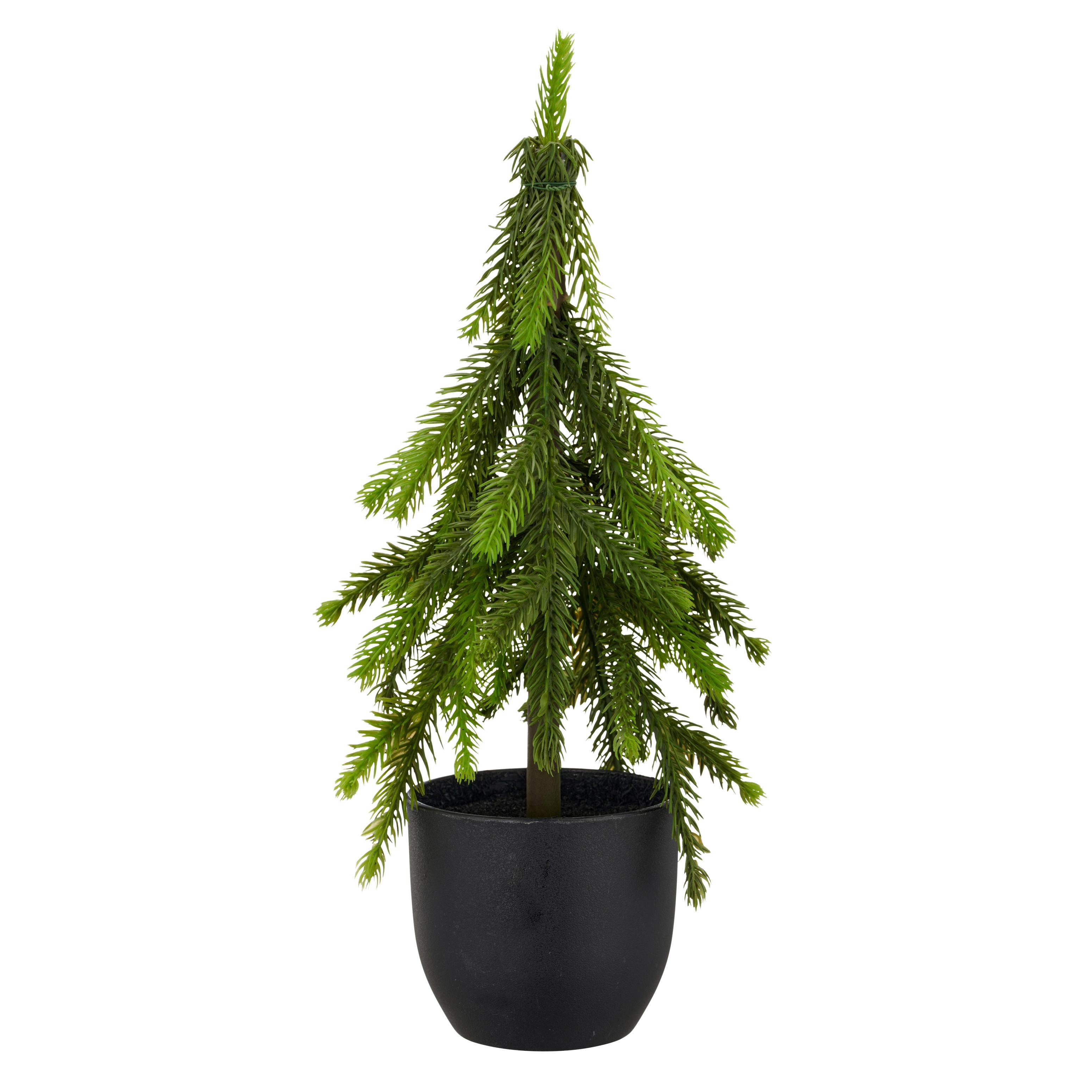 Umetna Rastlina Tanne I - zelena, Basics, umetna masa (37cm) - Mömax
