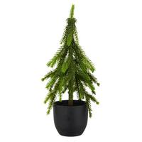 Umetna Rastlina Tanne I - zelena, Basics, umetna masa (37cm) - Mömax