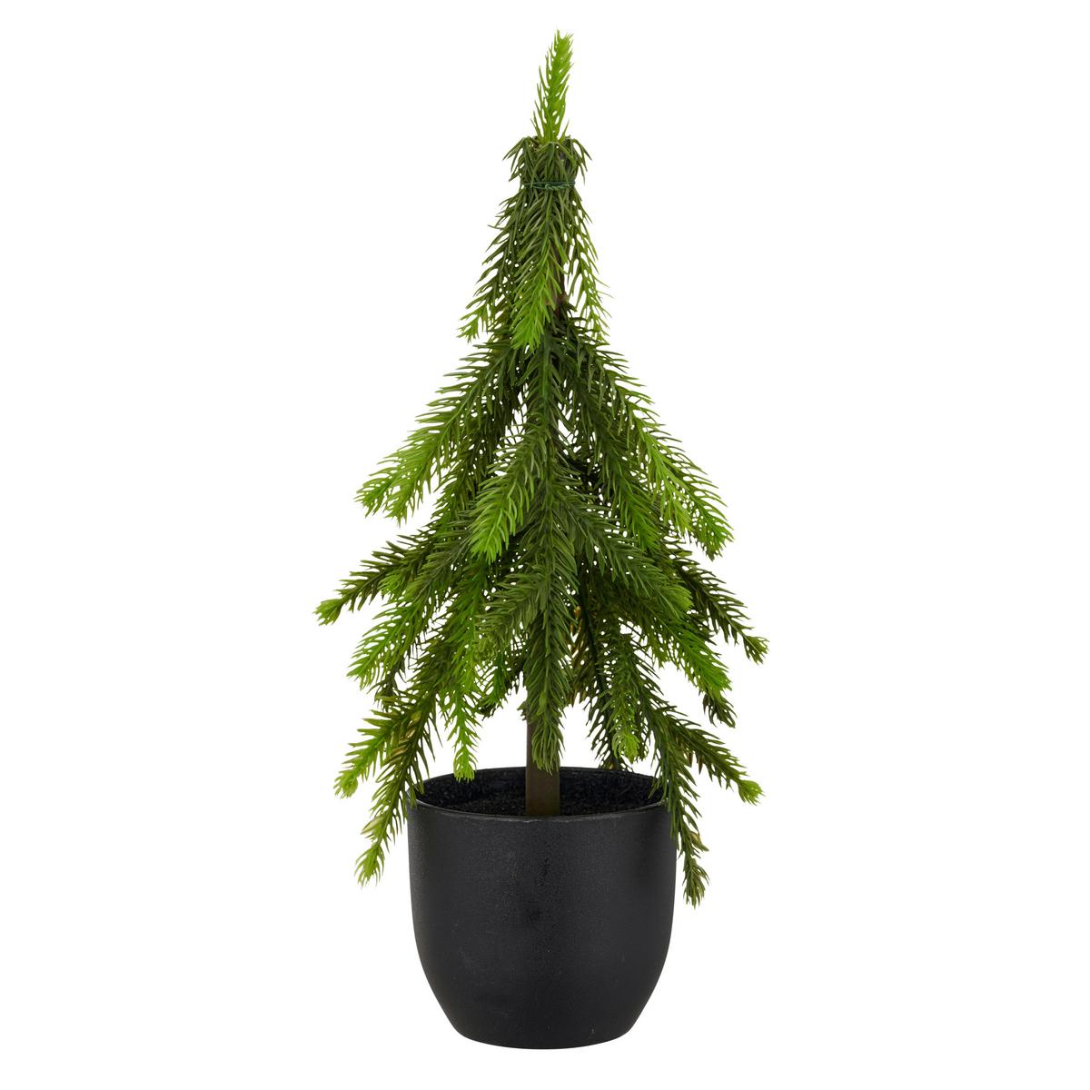 Umetna Rastlina Tanne I - zelena, Basics, umetna masa (37cm) - Mömax