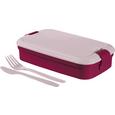 Cutie Alimentara Lunch&go - plastic (7/13/23cm) - Curver Cutie Alimentara Lunch&go - plastic (7/13/23cm) - Curver