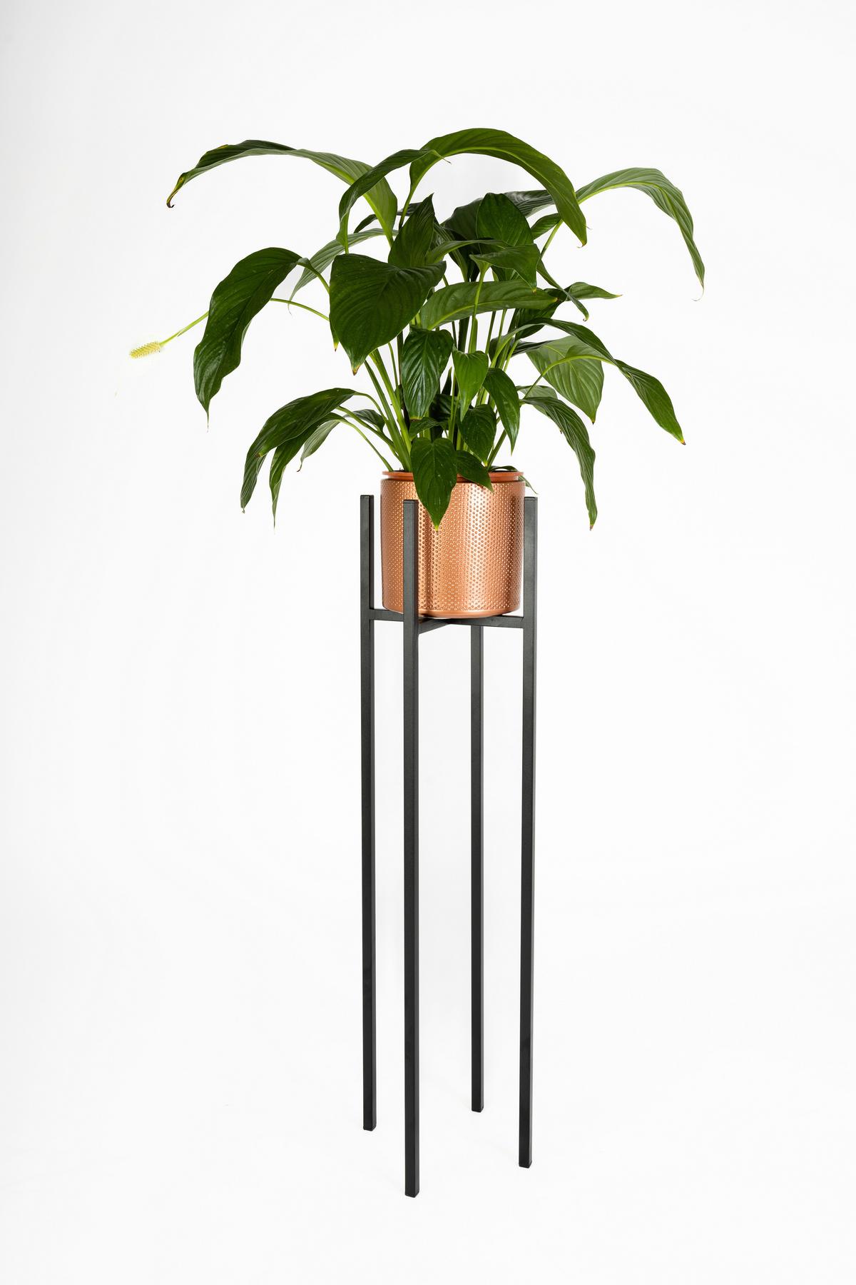 Blumenständer Schwarz - Schwarz, Basics, Metall (28/90/28cm)
