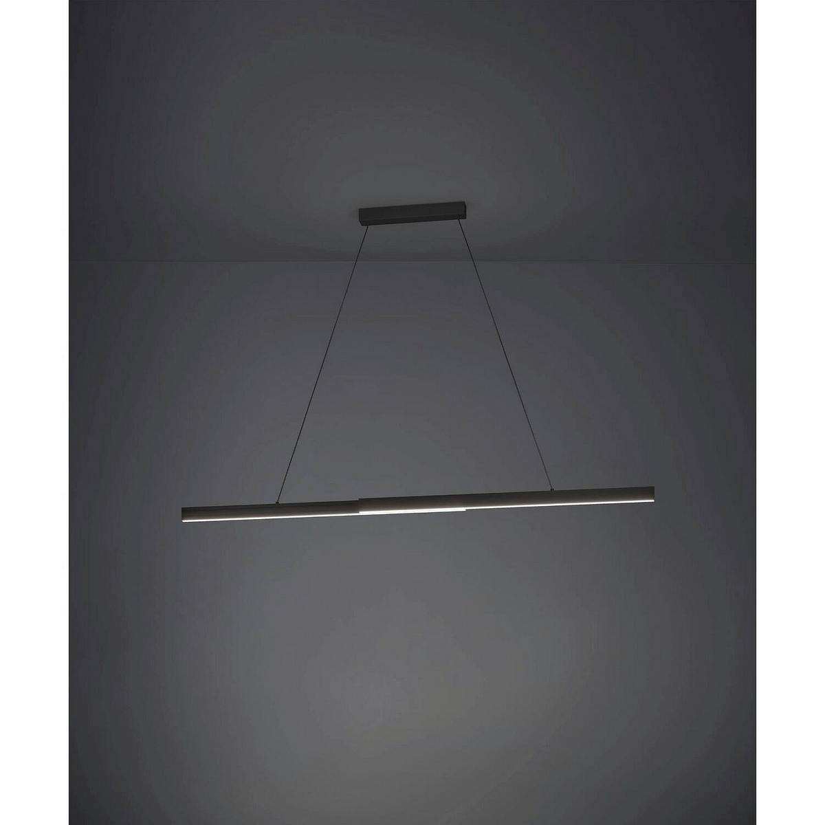 Hängeleuchte 103382220 Schwarz max. 10 Watt - Schwarz, MODERN, Metall (110-180/150/6,5cm)
