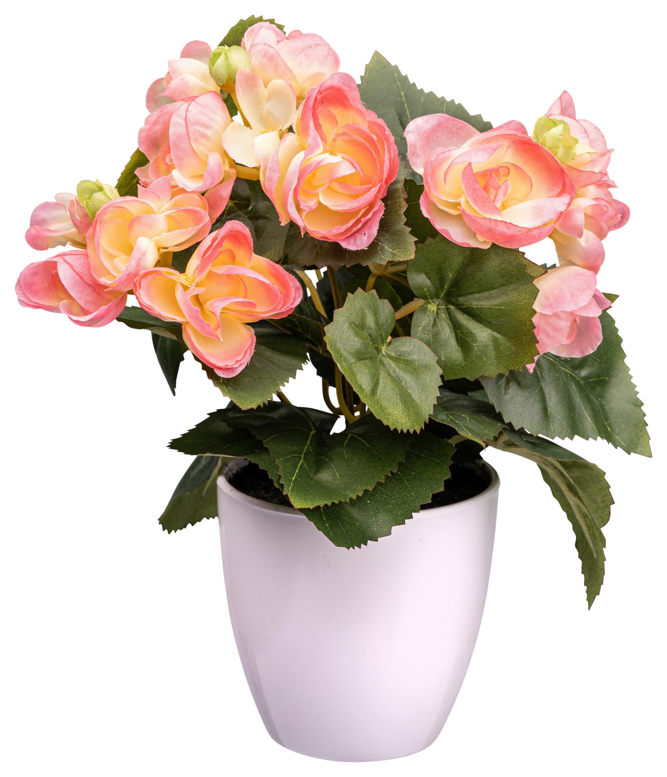 Kunstpflanze Begonienbusch I in Rosa - Dunkelrosa/Creme, KONVENTIONELL, Kunststoff (24cm) - Modern Living