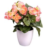 Kunstpflanze Begonienbusch I in Rosa - Dunkelrosa/Creme, KONVENTIONELL, Kunststoff (24cm) - Modern Living
