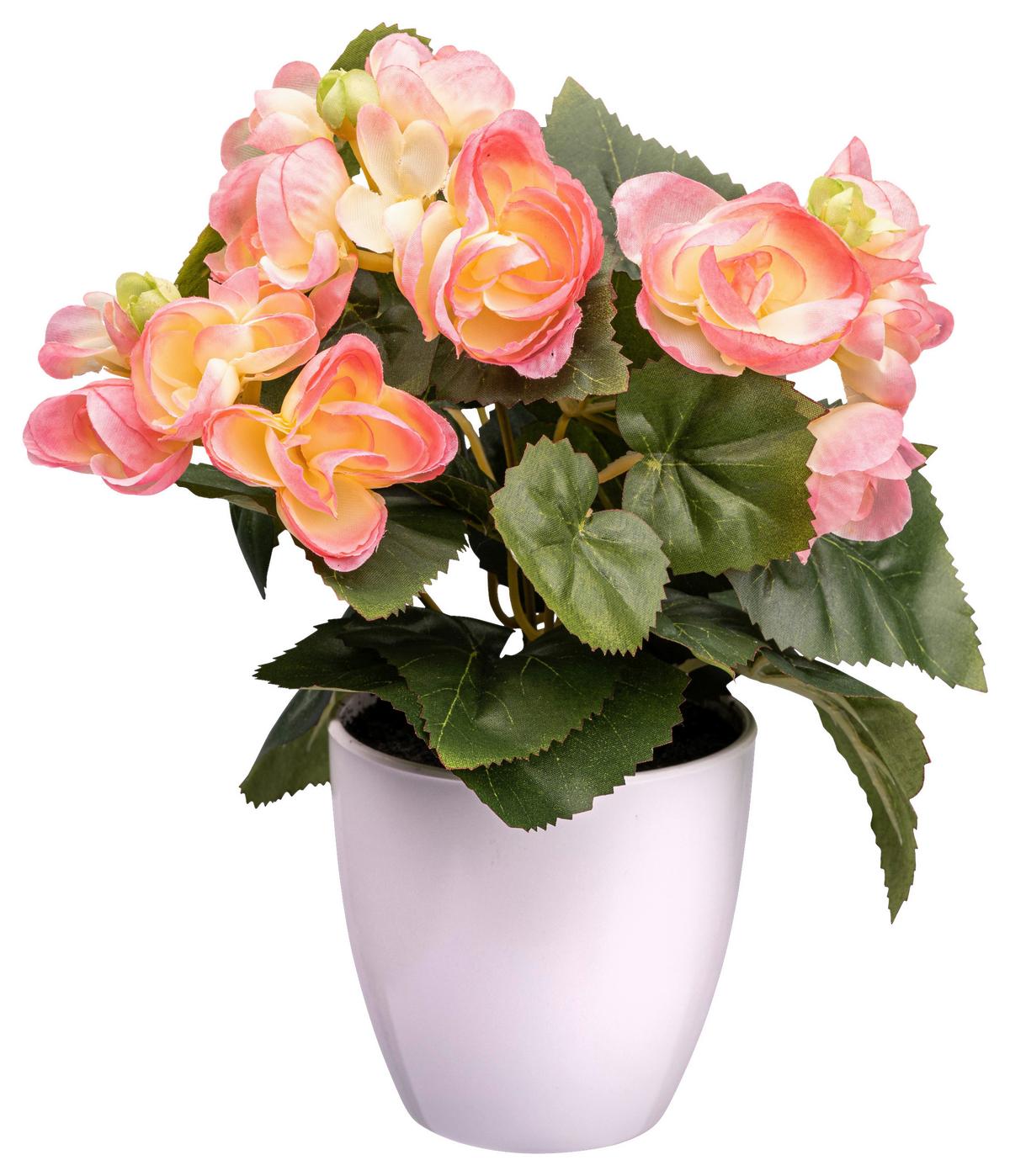 Kunstpflanze Begonienbusch I in Rosa - Dunkelrosa/Creme, KONVENTIONELL, Kunststoff (24cm) - Modern Living