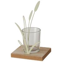 Windlicht Nolani II Grün - Grün, KONVENTIONELL, Glas/Holzwerkstoff (18,5cm) - Mömax