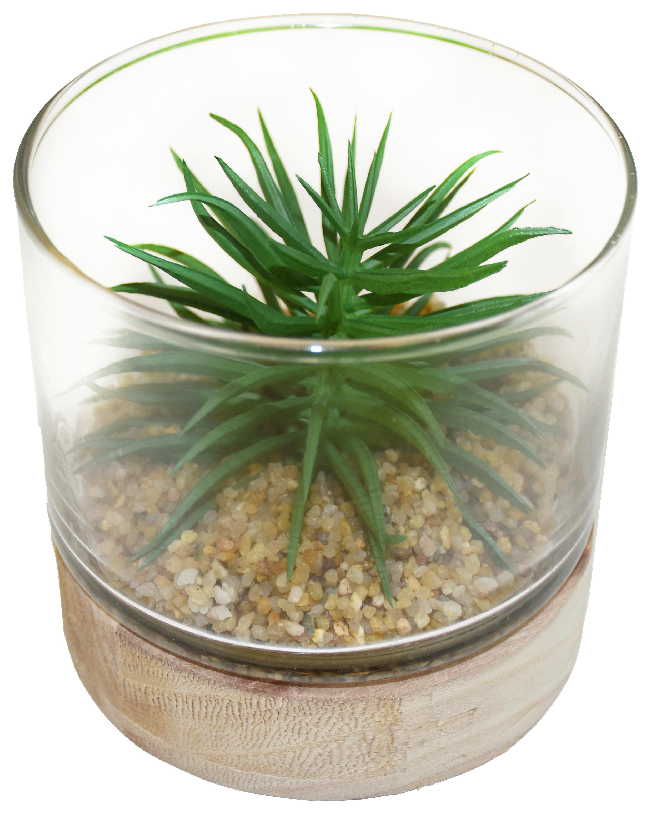 Plantă artificială SUKKULENTENDISPLAY II - verde, Basics, plastic/sticlă (10/10cm) - Modern Living
