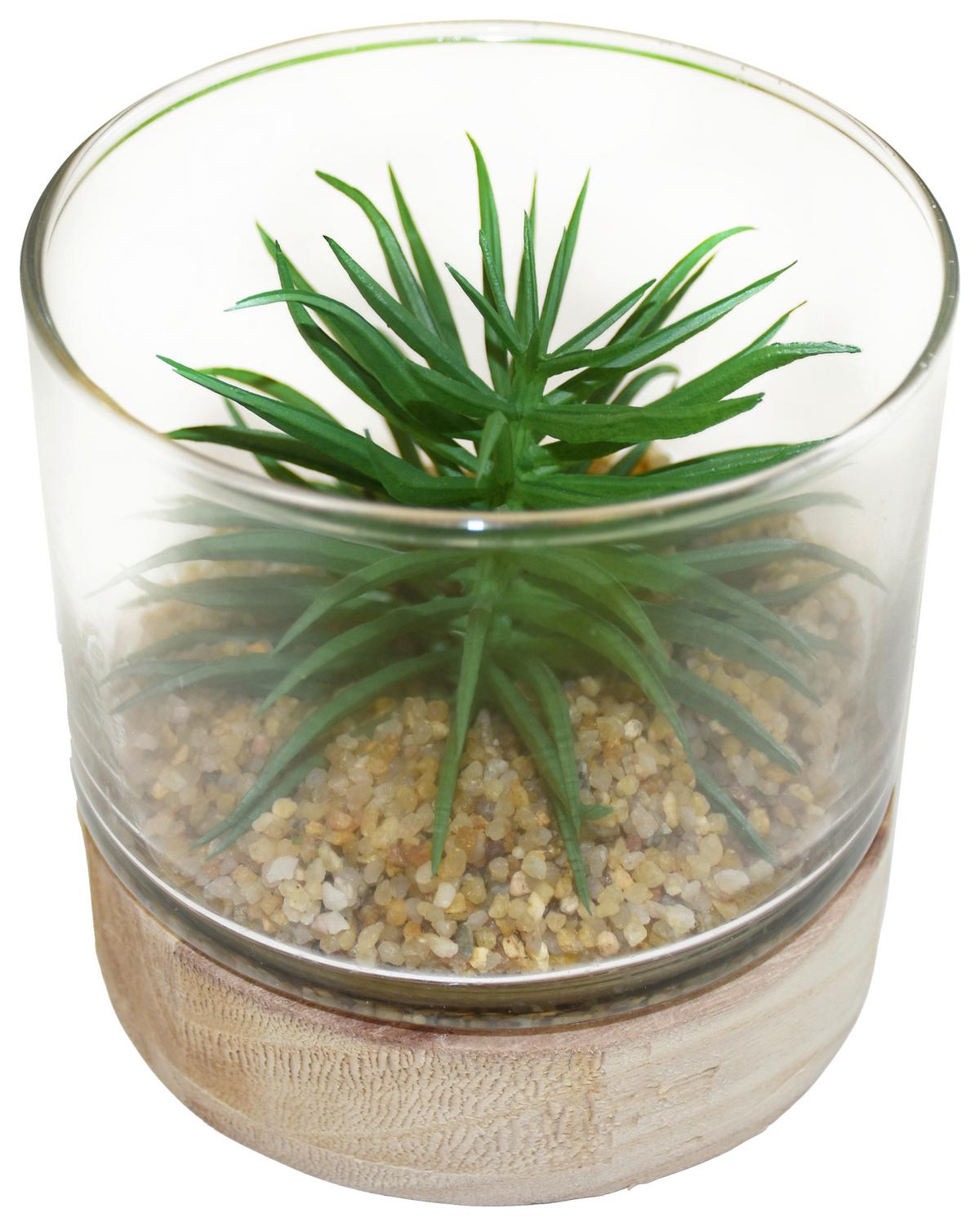 Plantă artificială SUKKULENTENDISPLAY II - verde, Basics, plastic/sticlă (10/10cm) - Modern Living