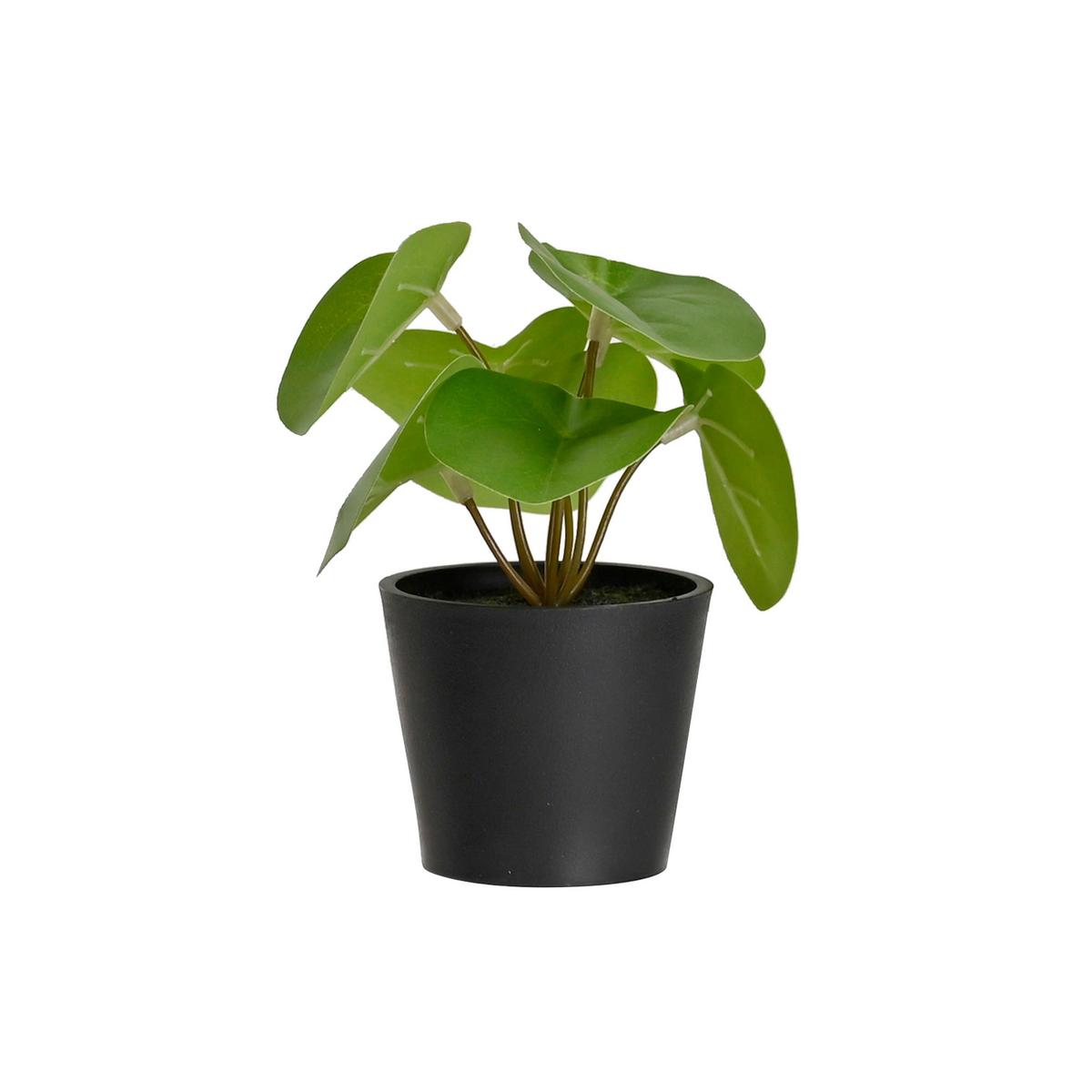 Plantă artificială PFLANZENGESTECK - verde/negru, plastic (7/13cm) - Mömax