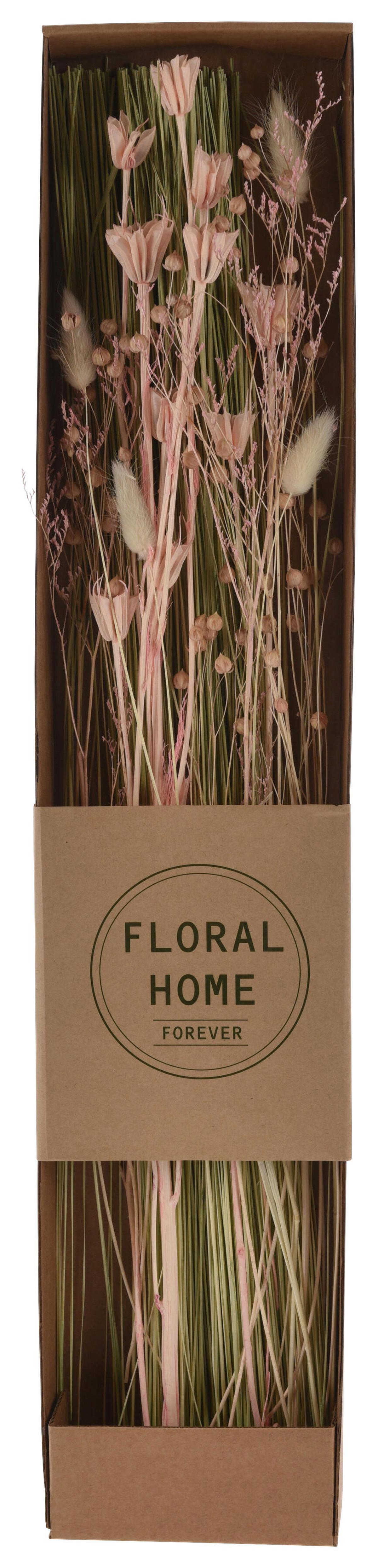 Trockenblume Mira diverse Farben - Dunkelbraun/Beige, Basics, Naturmaterialien (12/60/3,5cm)