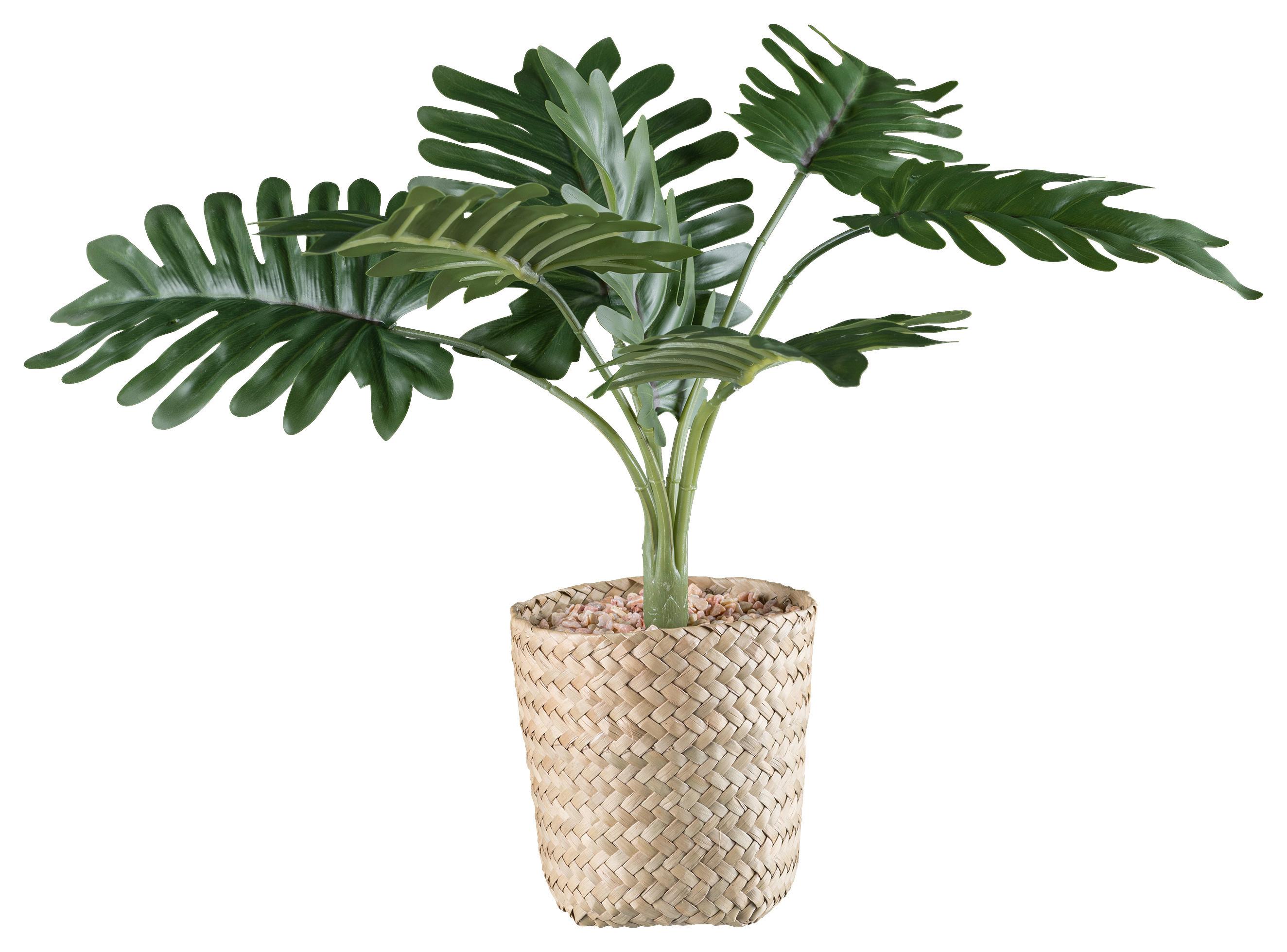 Kunstpflanze Philodendron II in Grün - Naturfarben/Grün, Basics, Naturmaterialien/Kunststoff (38cm) - Modern Living