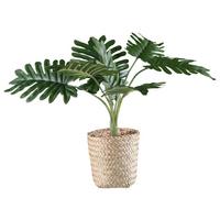 Kunstpflanze Philodendron II in Grün - Naturfarben/Grün, Basics, Naturmaterialien/Kunststoff (38cm) - Modern Living