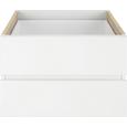 Schubkasteneinsatz in Weiß, 2er Set - Weiß, Holzwerkstoff (52/35/34cm) - MÖMAX modern living