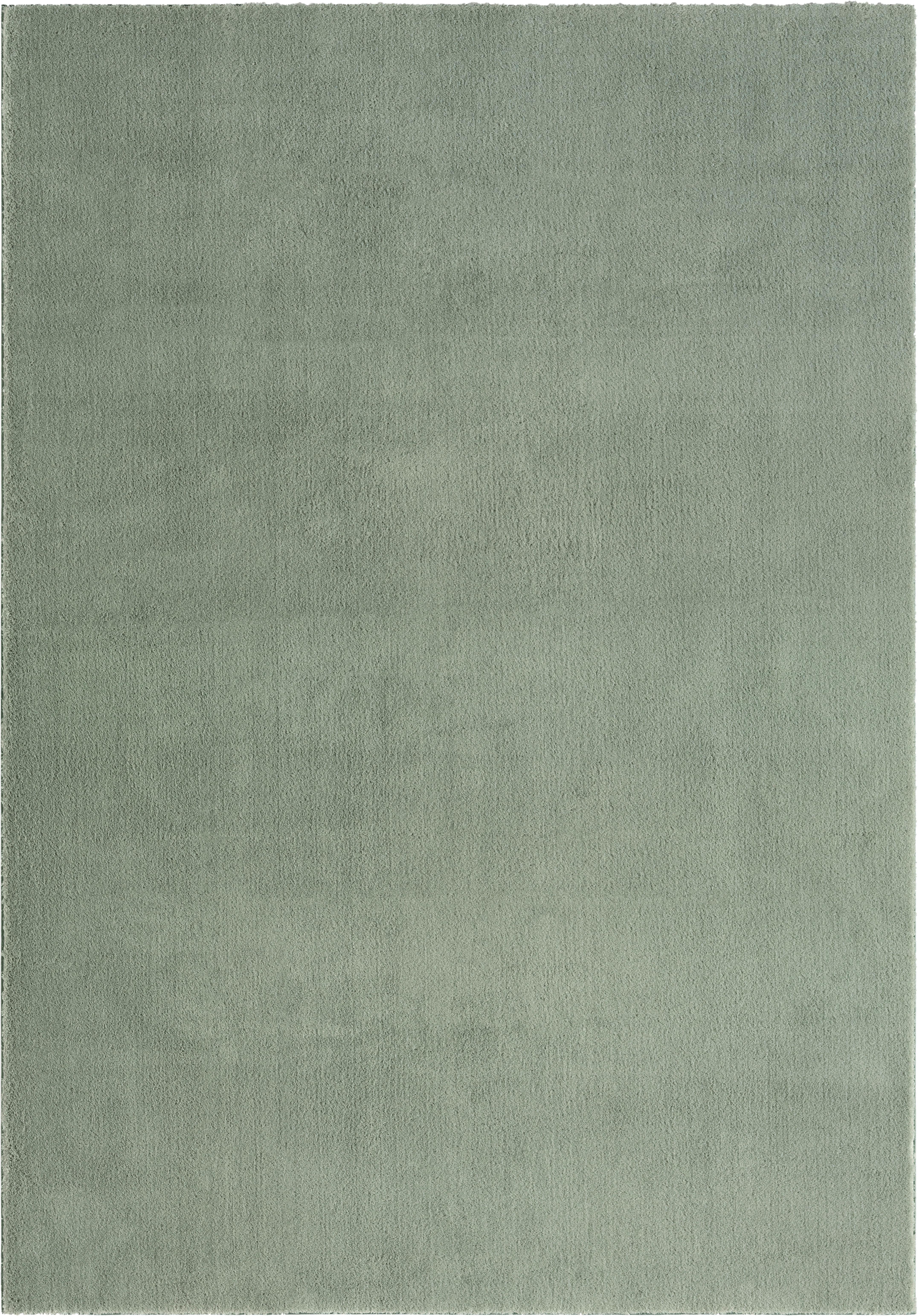 Hochflorteppich Nemo 1 in Grün ca. 60x110cm - Grün, Konventionell, Textil (60/110cm) - Mömax