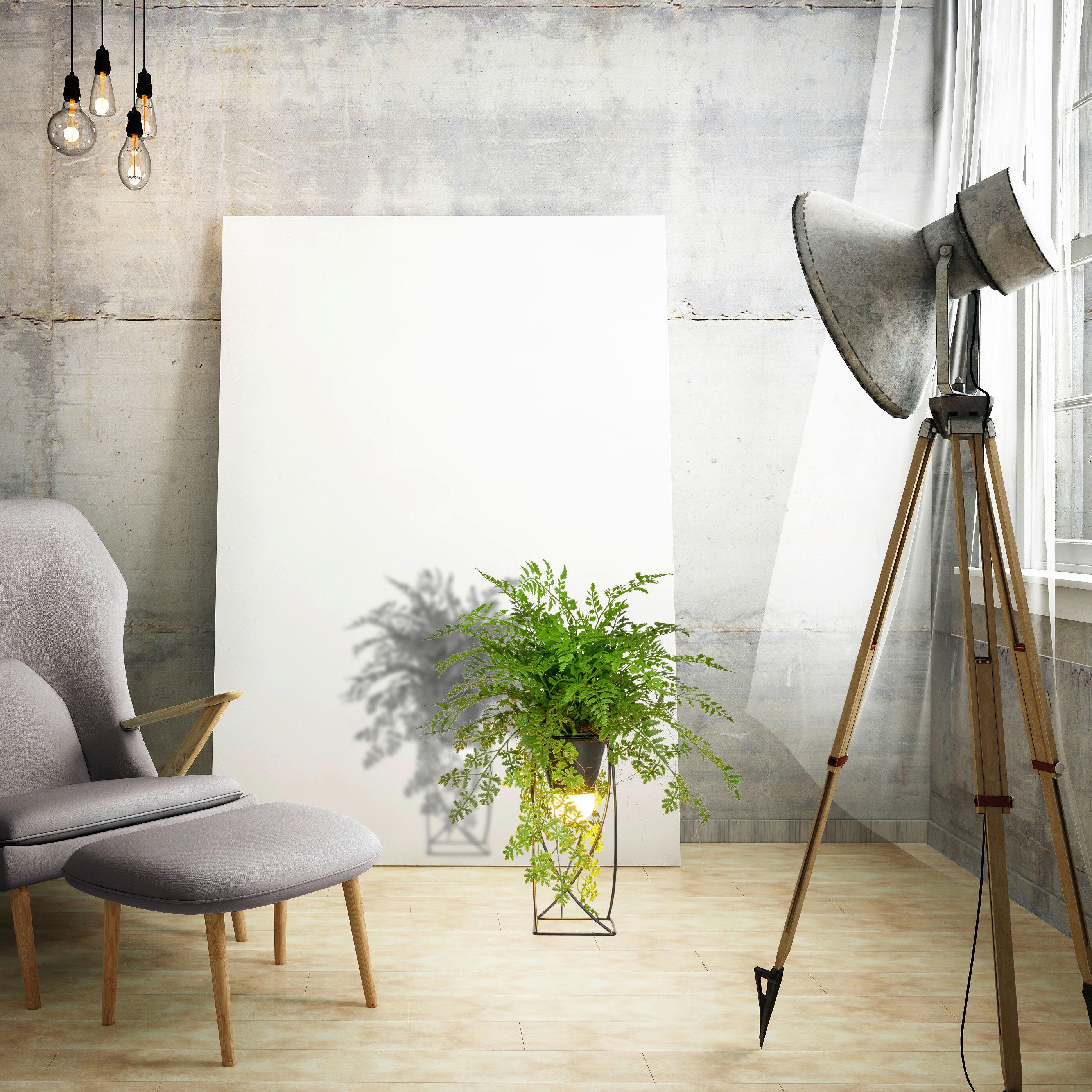 Kunstpflanze Farnmix Grün/Schwarz ca. 60cm - Schwarz/Grün, Basics, Kunststoff/Metall (60cm) - P & B