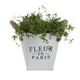 Kaspó Fleur De Paris - Fehér, romantikus/Landhaus, Fém (17cm) - Mömax modern living Kaspó Fleur De Paris - Fehér, romantikus/Landhaus, Fém (17cm) - Mömax modern living