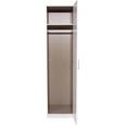 Omara Za Oblačila Celle - aluminij, Moderno, umetna masa/leseni material (47/197/54cm) - Premium Living Omara Za Oblačila Celle - aluminij, Moderno, umetna masa/leseni material (47/197/54cm) - Premium Living
