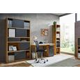 Regal Eichefarben - Eichefarben/Anthrazit, MODERN, Holzwerkstoff/Kunststoff (116,6/199,8/37cm) - Premium Living Regal Eichefarben - Eichefarben/Anthrazit, MODERN, Holzwerkstoff/Kunststoff (116,6/199,8/37cm) - Premium Living