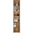 Regal Line4 - jelša/hrast, Moderno, leseni material (44/218/36cm) - Mömax modern living Regal Line4 - jelša/hrast, Moderno, leseni material (44/218/36cm) - Mömax modern living