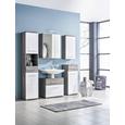 Hochschrank in Braun/Weiß - Dunkelbraun/Alufarben, KONVENTIONELL, Glas/Holzwerkstoff (40/195/35cm) - PREMIUM LIVING